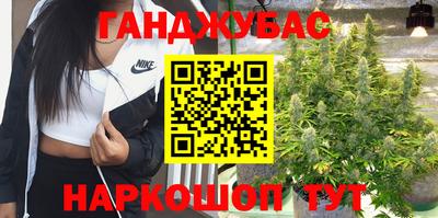 крисы Канаш