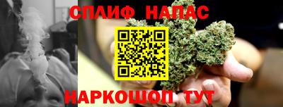 дурь Камышлов